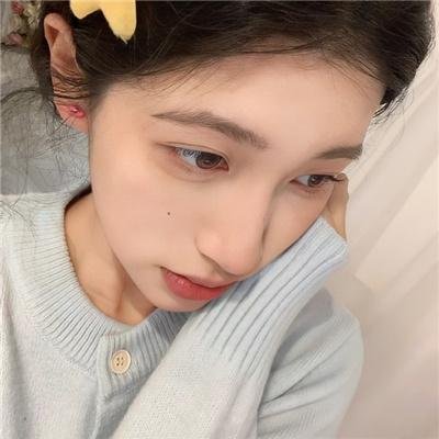 鬣狗之路