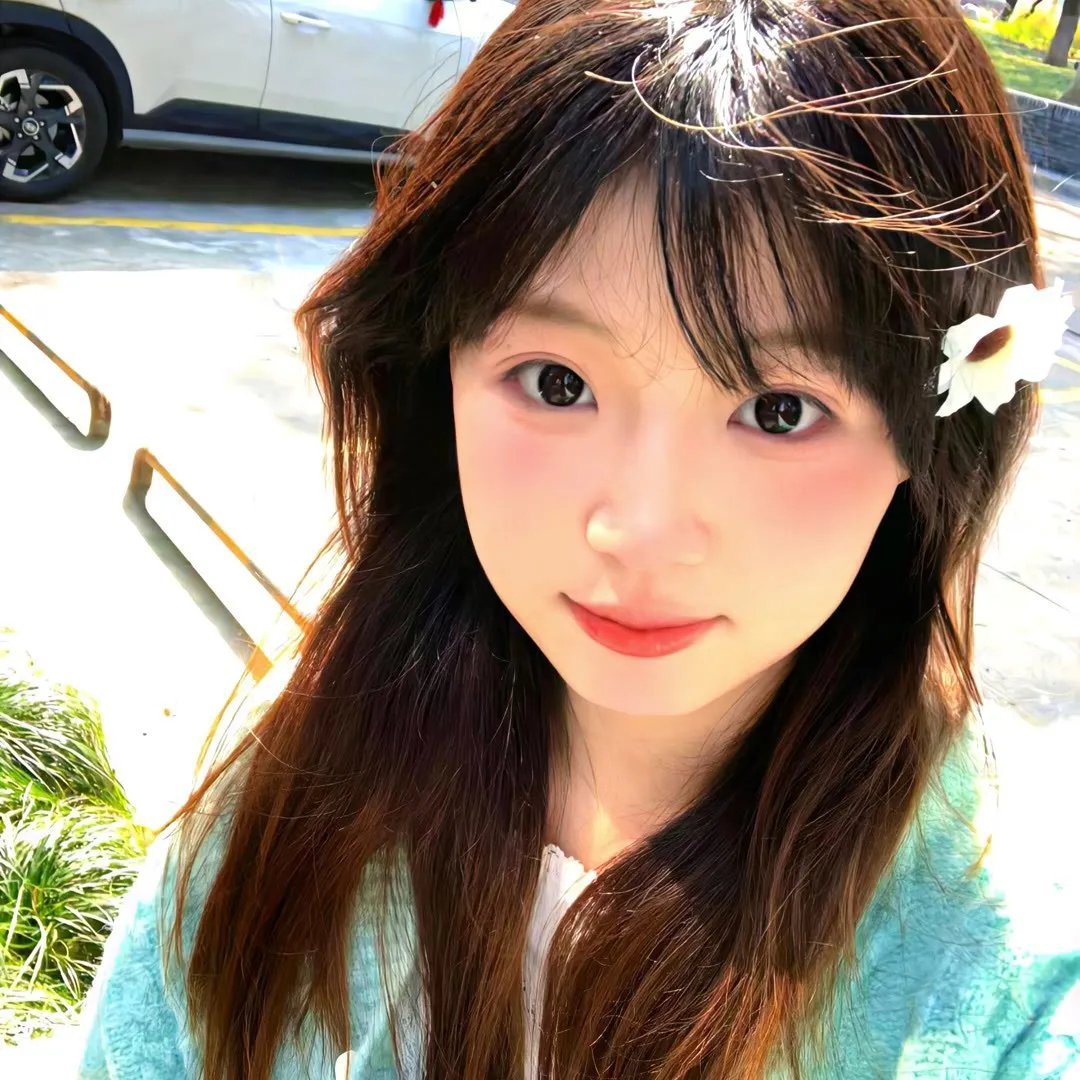 风流家族